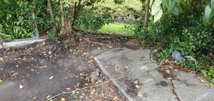 [Mega Mart parking lot drain into One Mile Branch above Lee Street, 2023:05:23 15:11:07, 30.8494050, -83.2777030]