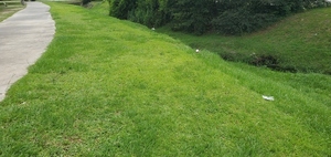 [Trash by One Mile Branch, 2023:05:23 15:12:28, 30.8493750, -83.2776780]