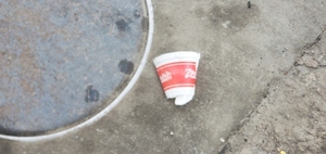 [Another Zacadoo's cup, 2023:05:23 15:25:58, 30.8493880, -83.2779230]