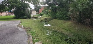 [Browns Canal east of N Toombs Street, 2023:05:23 15:48:27, 30.8356715, -83.2828164]
