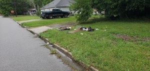 [Trash detail, 812 S Toombs Street, 2023:05:23 15:57:31, 30.8215560, -83.2775840]