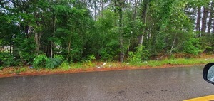 [Context, Trash along University Drive near Moody Drive, 2023:05:23 16:41:37, 30.8650276, -83.2837872]