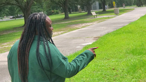 [Look at that, Azalea City Trail at One Mile Branch, above Lee Street]