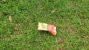 [Bright & Early HiC carton at One Mile Branch below Lee Street]