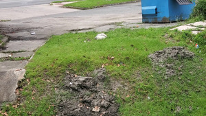 [Trash below Mega Mart dumpster at One Mile Branch]