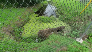 [Trash in Dukes Bay Canal, west of Oak Street, by Southside Rec Center]