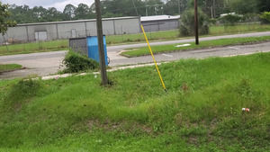 [Zacadoos by One Mile Branch below Mega Mart dumpster]