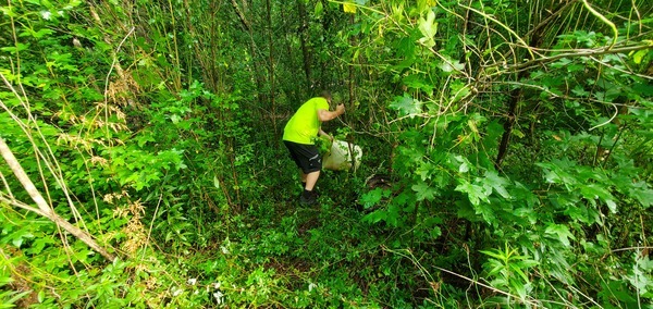 [Something in the woods, 09:31:14, 30.8625123, -83.3203583]