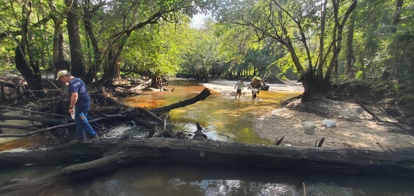 [Phil Royce walking the log, 10:15:30, 30.8638342, -83.3210049]