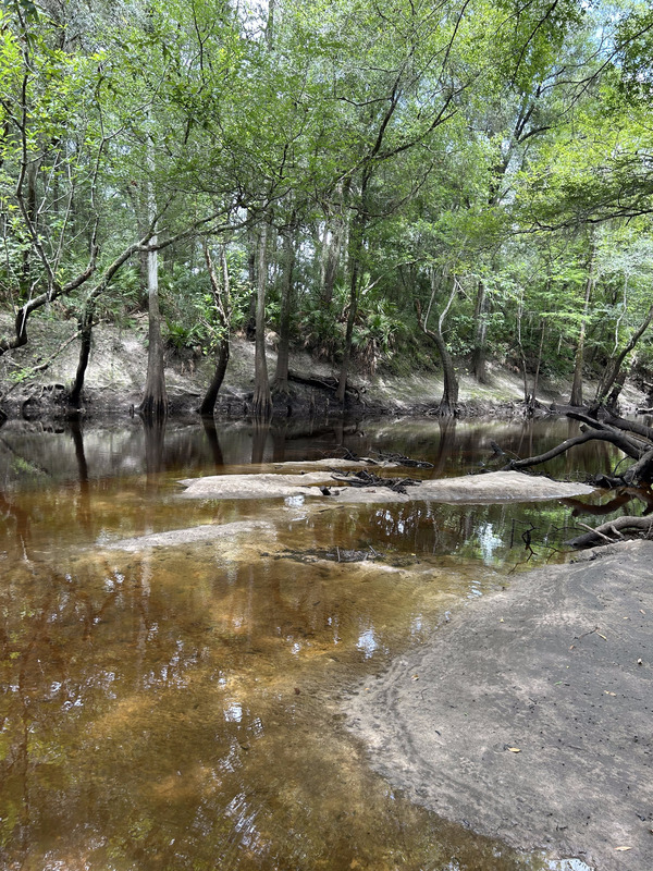 Staten Road upstream, Withlacoochee River @ Staten Road 2023-07-28