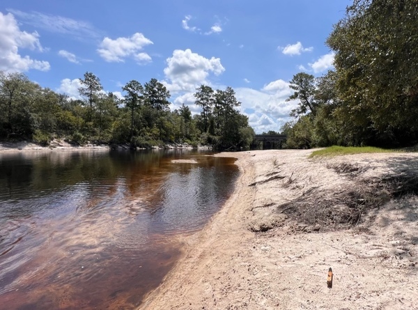 [Naylor Park Beach, Alapaha River @ US 84 2023-08-03]