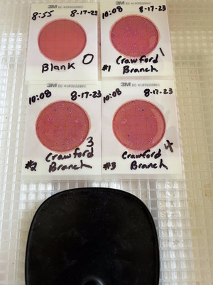 [Plates, Crawford Branch 2023-08-17]