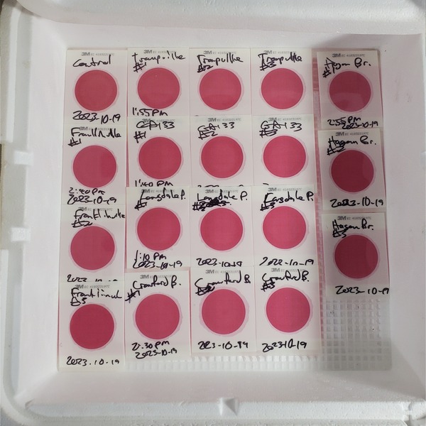 Plated six samples, Withlacoochee, Little Rivers 2023-10-19, 2023:10:19 15:34:00