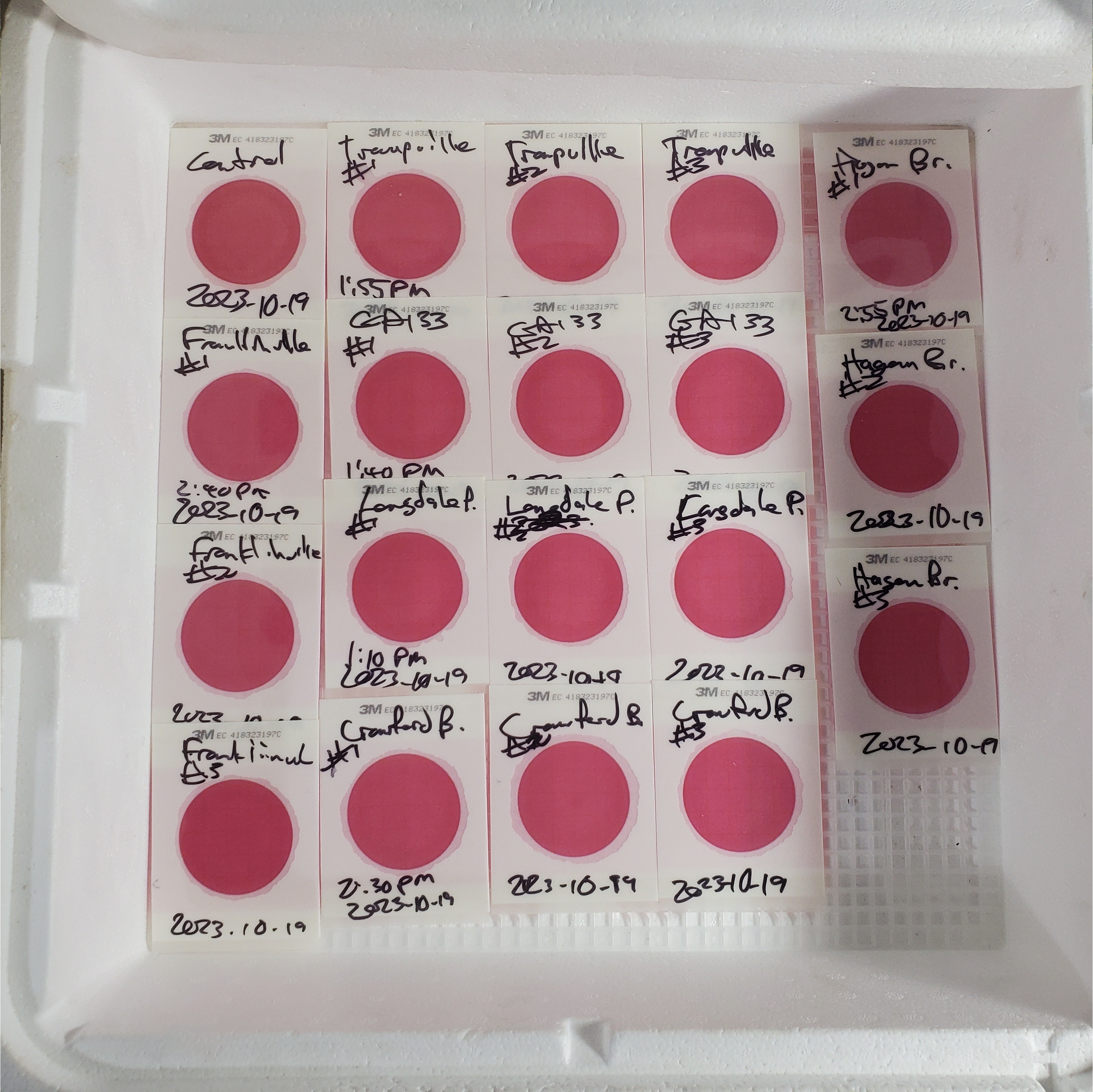 Plated six samples, Withlacoochee, Little Rivers 2023-10-19, 2023:10:19 15:34:00