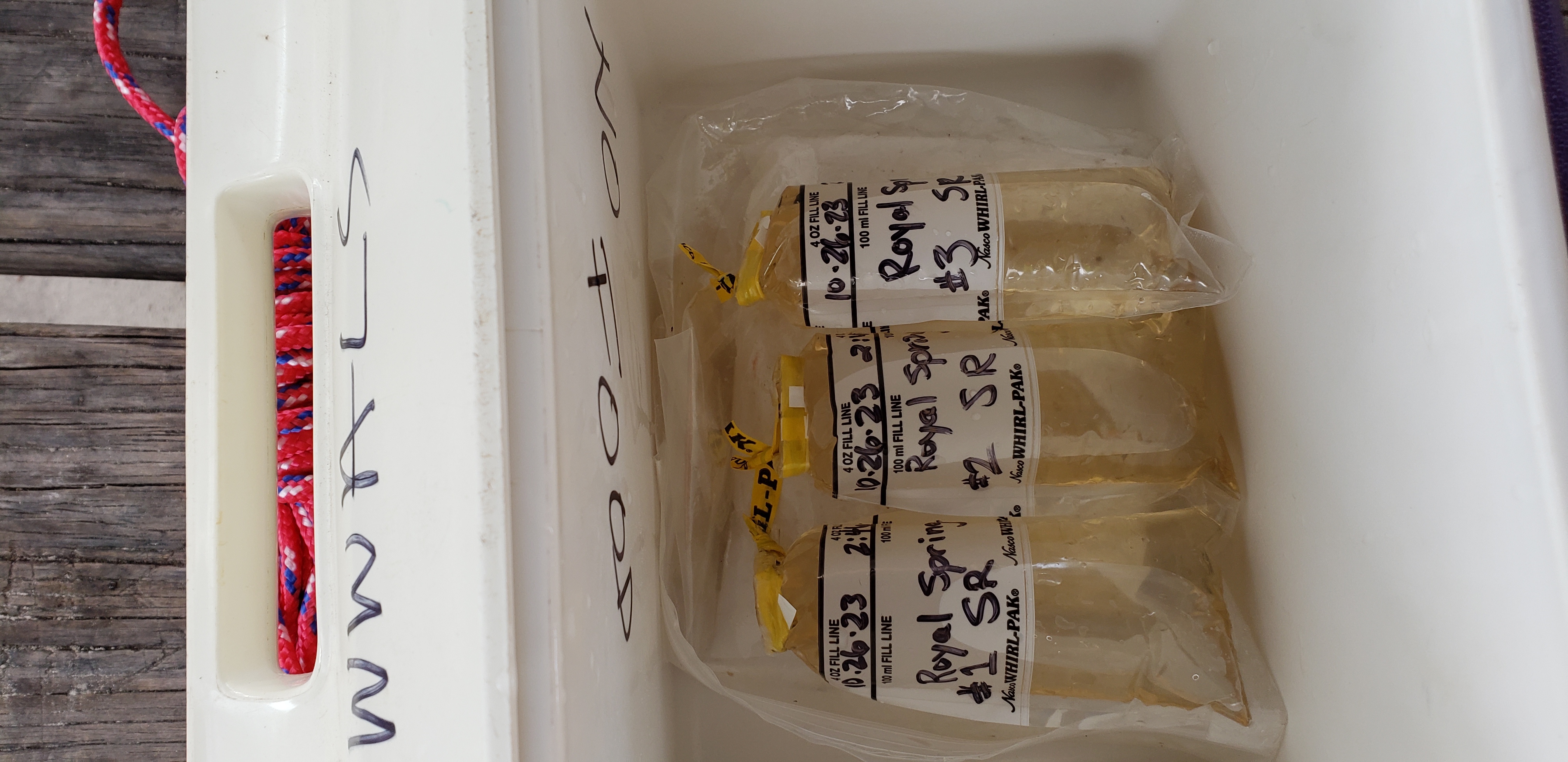 Royal Springs Ramp samples, Suwannee River @ 157 Drive 2023-10-26