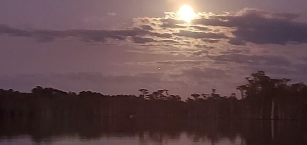 [Jupiter below Full Moon]
