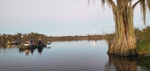 [Boats, moon, and bat tree]
