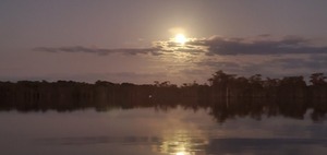 [Shiny moon]