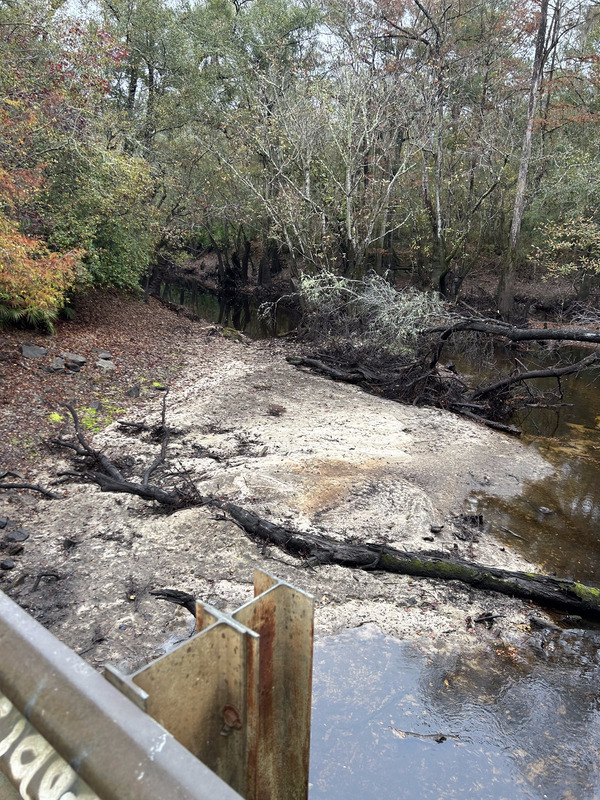 [Franklinville, Withlacoochee River @ Frankinville Road 2023-11-16]