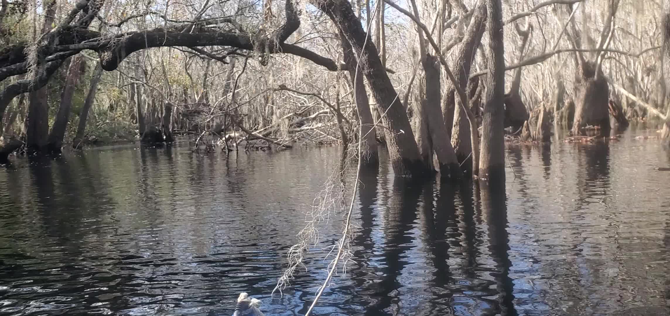 Movie: Archway on the North Fork of the Suwannee River, 2023:12:09 11:25:20, 30.8163000, -82.4139000 (35M)