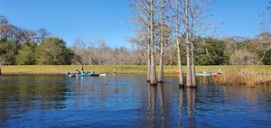 [Suwannee River Sill, 2023:12:09 11:25:20, 30.8051010, -82.4156144]