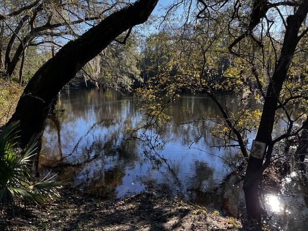 [Holly Point, Withlacoochee River 2023-12-28]