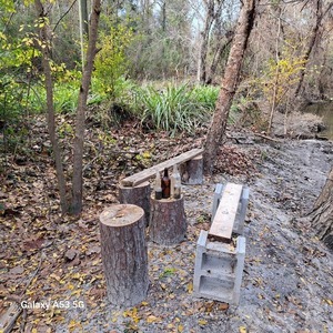 [Benches, Sugar Creek, Withlacoochee River @ Gornto Road 2023-12-27]