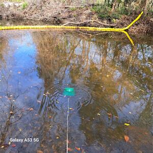 [Bucket, Sugar Creek, Withlacoochee River @ Gornto Road 2023-12-27]