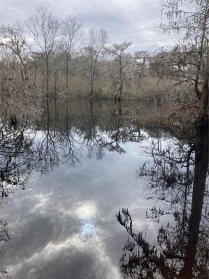 [Three Rivers Gauge other, Santa Fe River @ Santa Fe Road 2023-12-28]