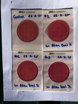 [Plates, Allen Ramp, Withlacoochee River 2023-12-28]