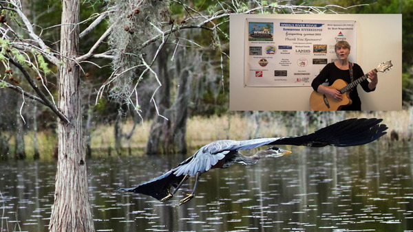 [Movie: Chant for the Okefenokee --Jane Ross Fallon (8.5M)]