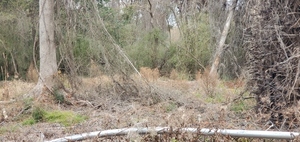 [Fence, 2809 Pebblewood Drive, 13:03:14, 30.8754100, -83.3104430]