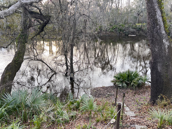 [Holly Point, Withlacoochee River @ NE Withla Bluffs Way 2024-01-17]