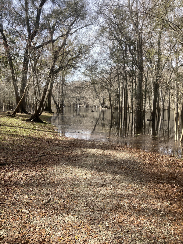 [Point Park, Ichetucknee River @ SW Riverside Ave. 2024-01-17]