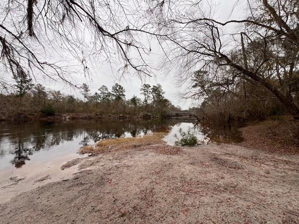 [Naylor Park Beach @ US 84, Alapaha River 2024-01-18]
