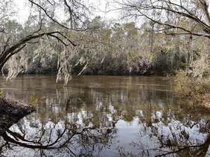 [Allen Ramp other, Withlacoochee River @ 2726 SW 64th Way Jasper, FL 32052 2024-01-17]