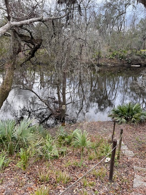 [Holly Point other, Withlacoochee River @ NE Withla Bluffs Way 2024-01-25]