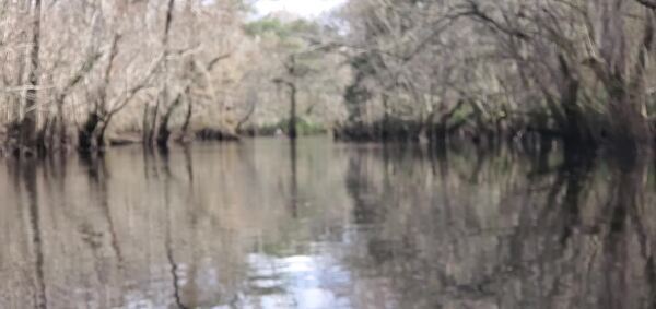 Movie: Phil down the river, 30.8714284, -83.3231498 (22M)