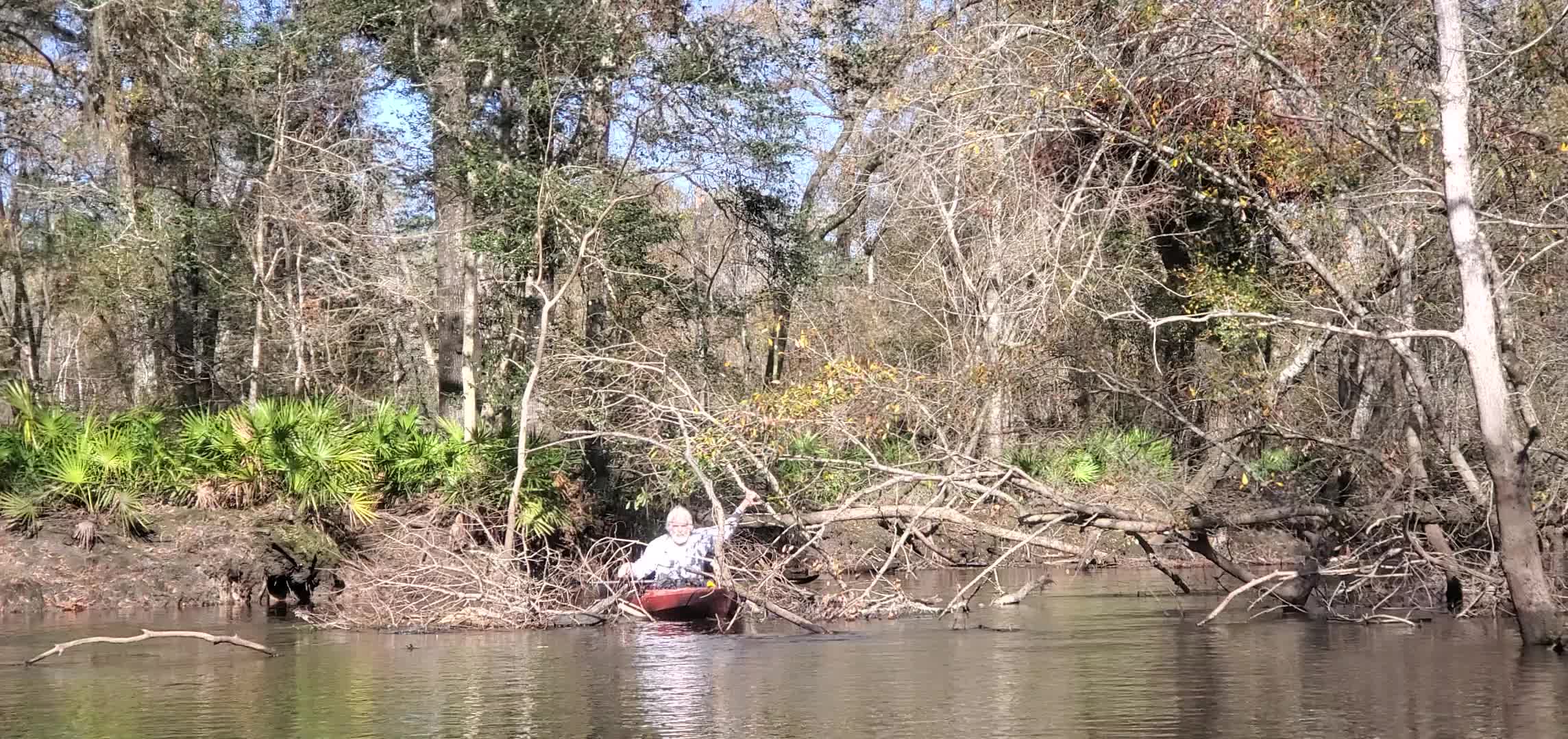 Movie: Phil clearing a little more, 10:39:05, 30.8816236, -83.3256354 (21M)