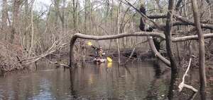 [Movie: Shawn coming out of duck box slough, 13:35:12, 30.8714284, -83.3231498 (40M)]