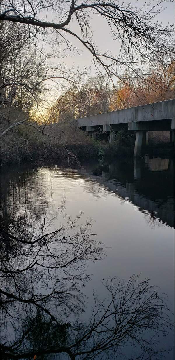 Sunset, Vann Road, Mud Swamp Creek 2024-01-31