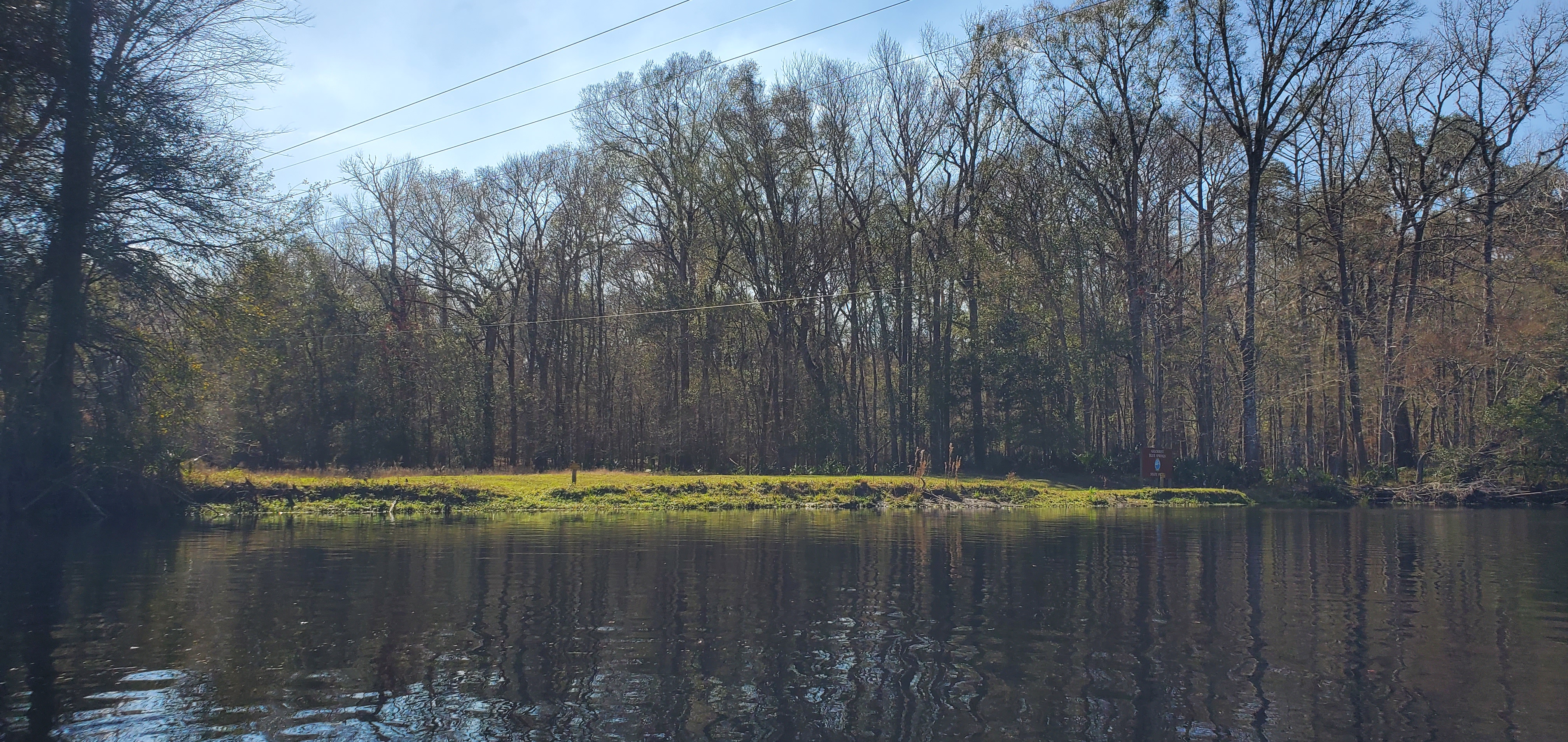 Power Line at bottom of Gilchrist Blue Springs State Park, left bank, 13:11:08, 29.8336191, -82.6873627