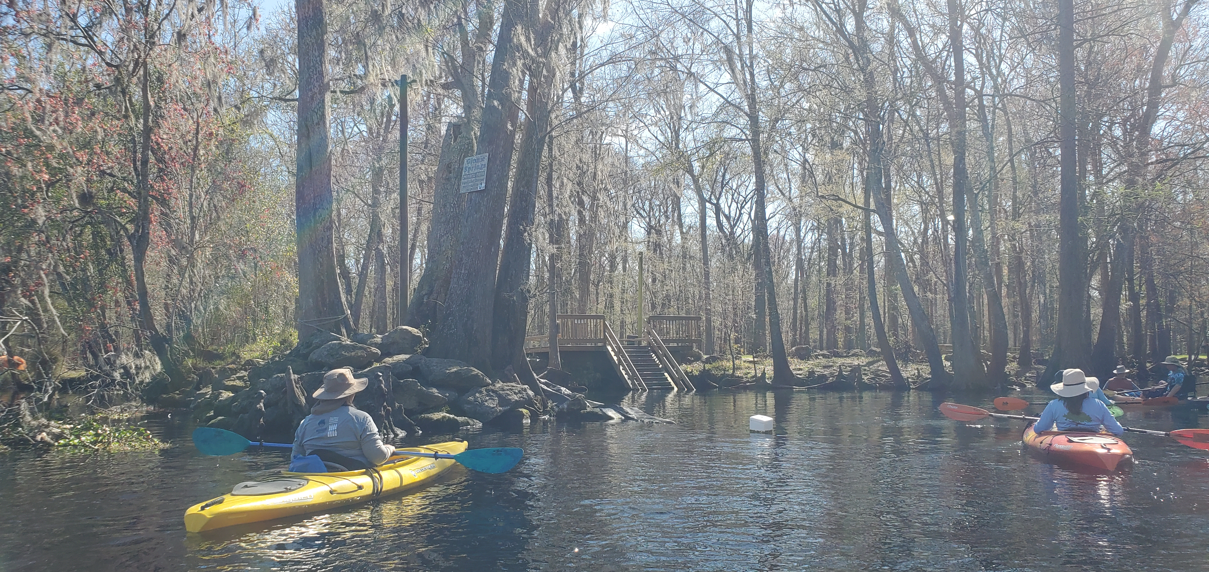 Devil's Ear Spring Run in Ginnie Springs Private Park, 13:25:58, 29.8353770, -82.6968420
