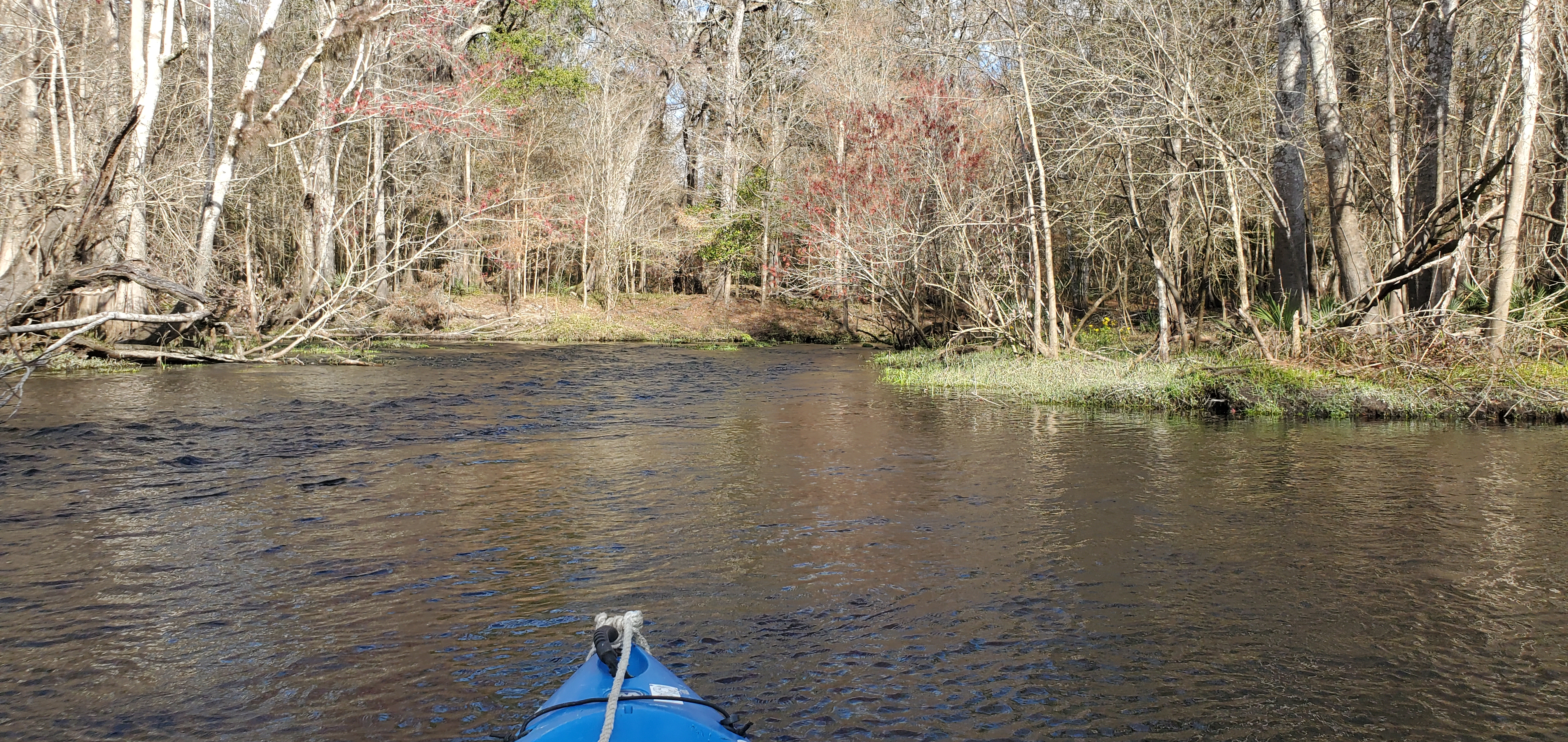 Myrtles Fissure Spring, 2nd mag., 15:38:51, 29.8583230, -82.7337660