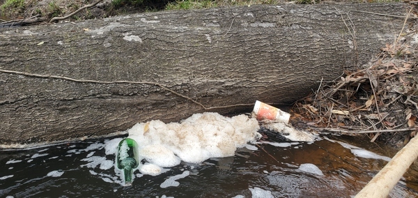[A Zacadoo's Cup at the YMCA2 Deadfall, 10:37:06, 30.8613810, -83.3234820]