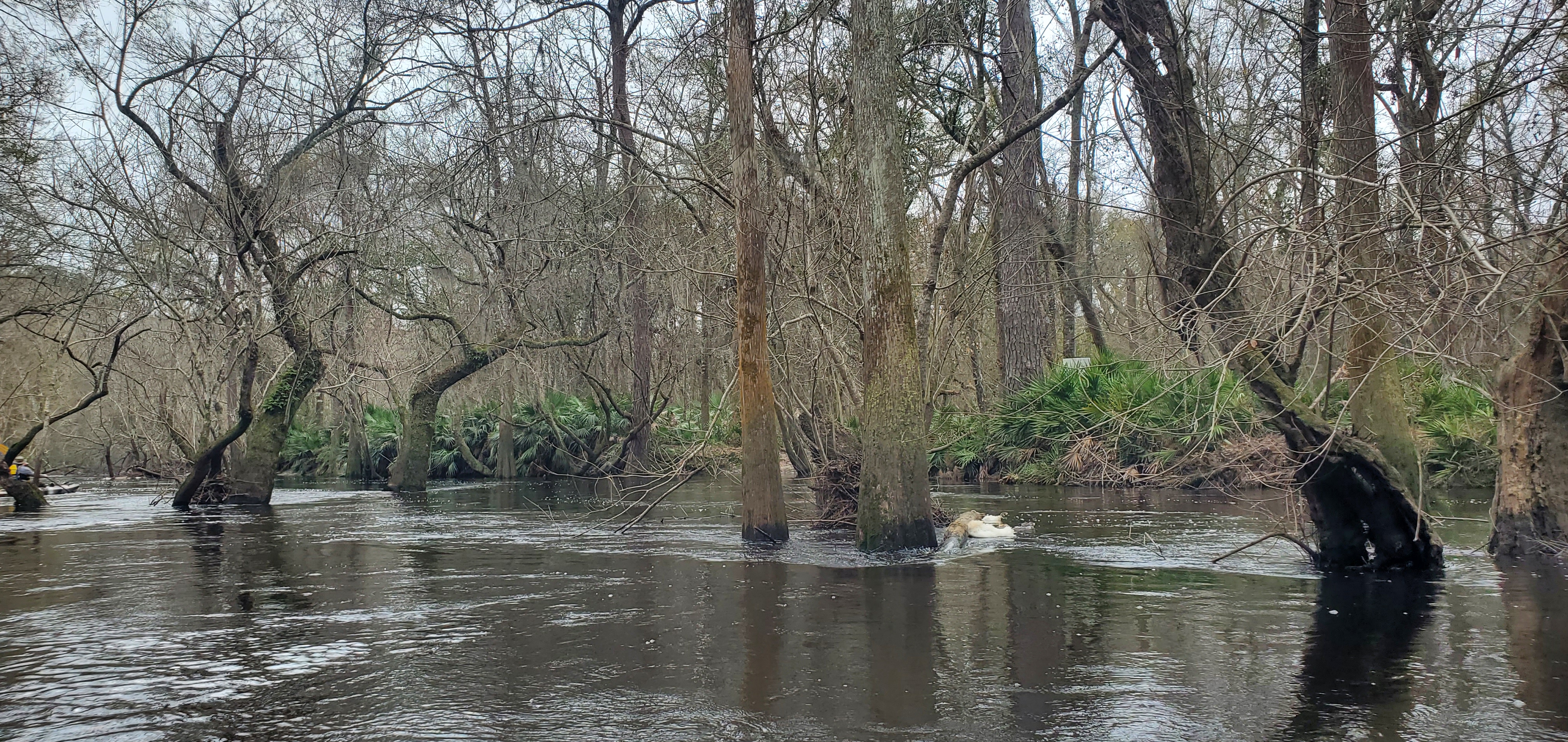 A sign on the right bank, 10:40:42, 30.8603700, -83.3242941