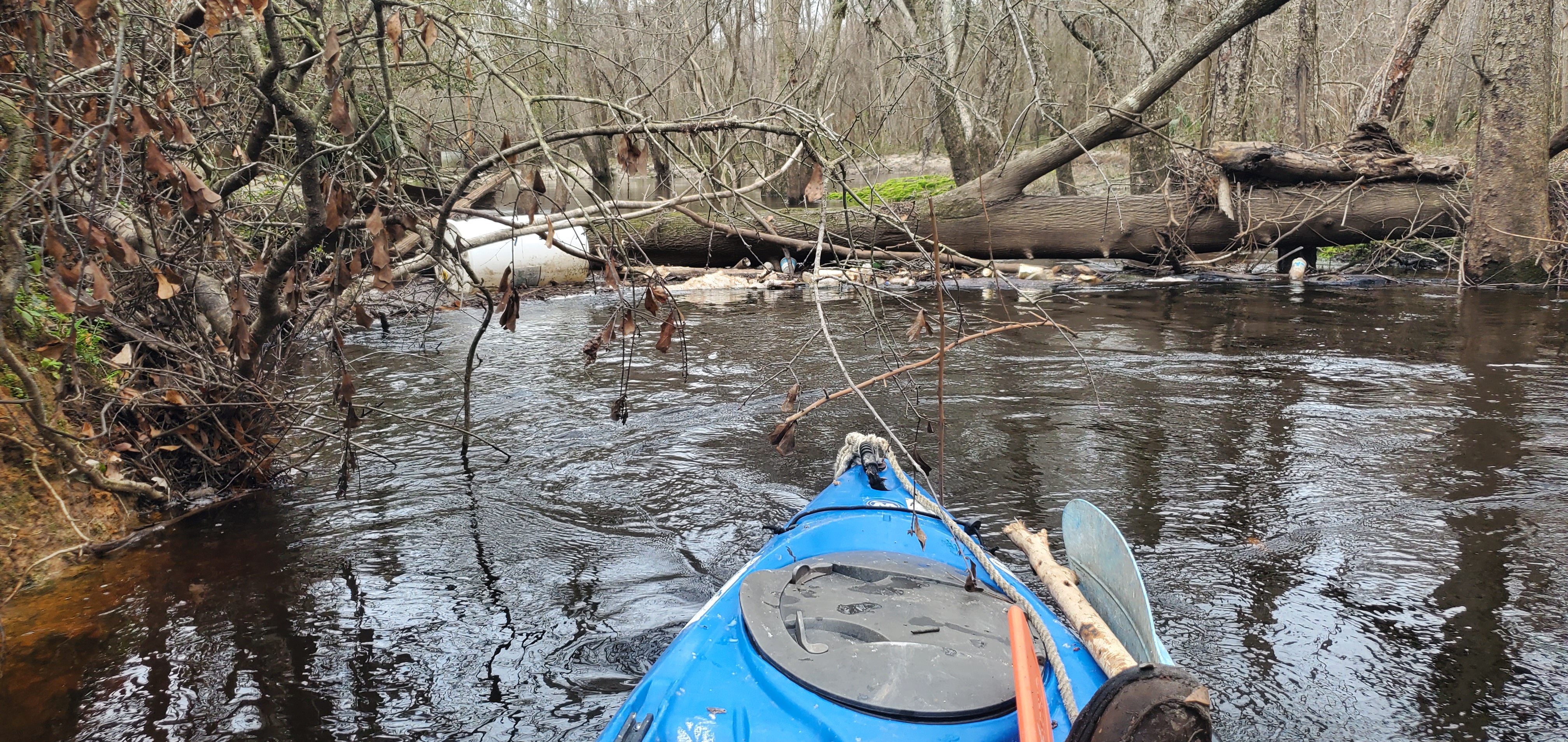 Trash jam on left of sewer line, 11:26:40, 30.8576405, -83.3259709