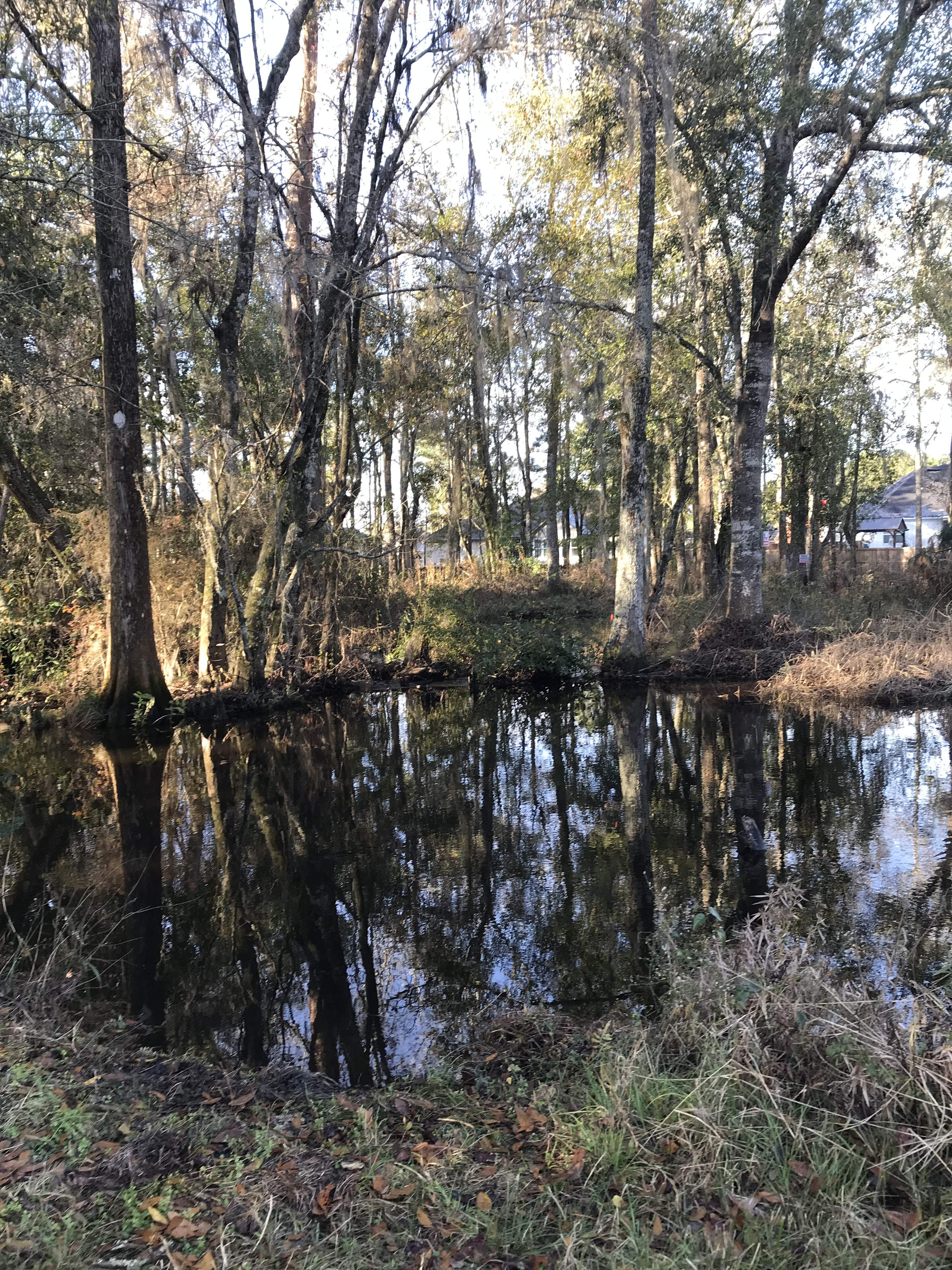 Franks Creek @ GA 122, 2023-12-20