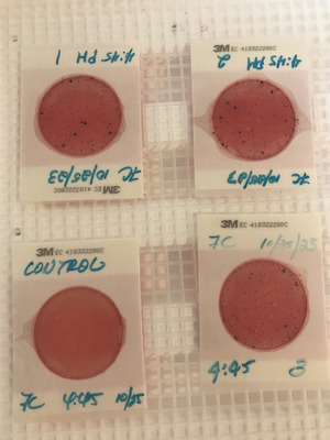 [Plates, Franks Creek @ GA 122 2023-10-25]