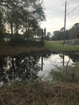 [Franks Creek @ GA 122, 2023-12-13]